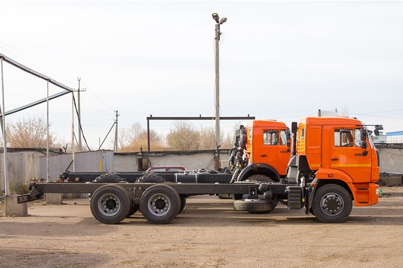 КАМАЗ 65115-3950-48(A5)